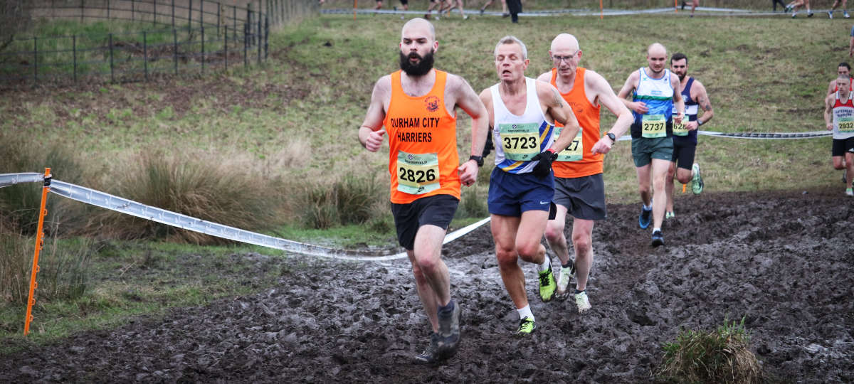 DCH Cross Country Runners