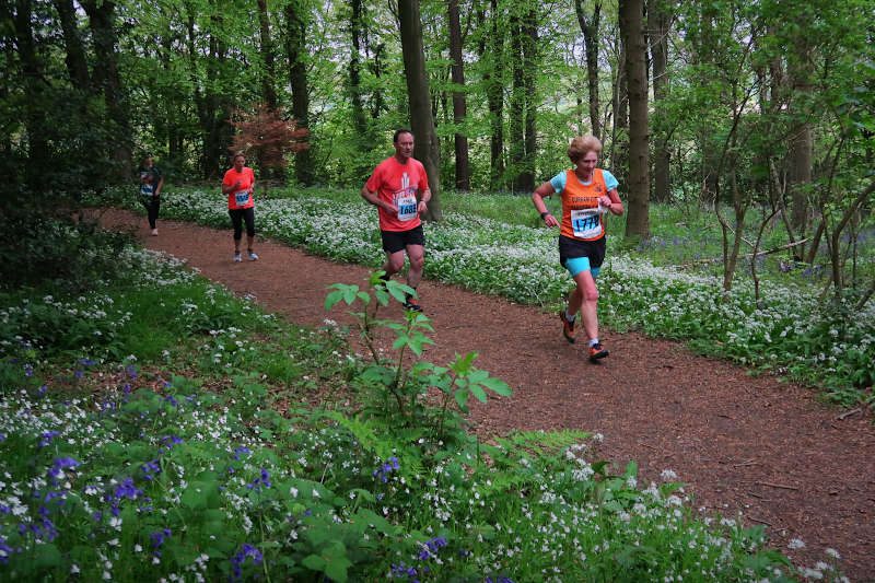 Garlic & Bluebell 5K Trail Race