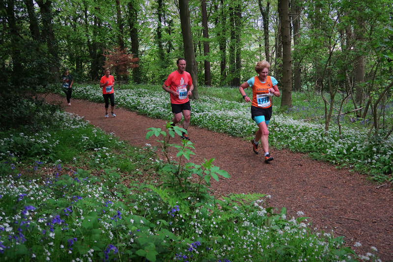 Garlic & Bluebell 5K Trail Race